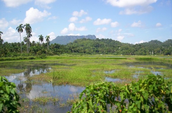 Vista del Yunque en Baracoa. Foto: Ing.Yurisley Valdes Mariño / Cubadebate
