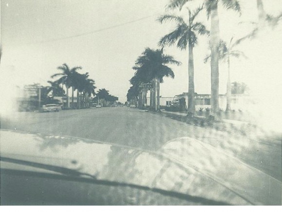 Avenida de palmas en Miami