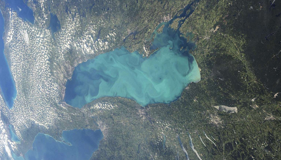 Una vista de plancton a través de una gran parte del lago Ontario. Foto: Reuters
