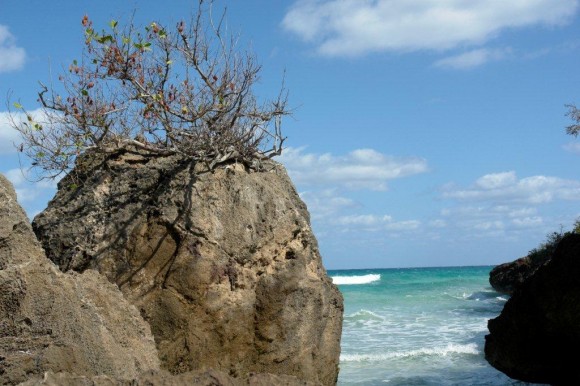 perfil rocoso mirando al horizonte Playa Del Artista en el Peñón del Fraile,  tomada por Raúl Aguilar.