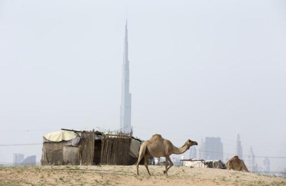 En la imagen se aprecia el contraste de una vivienda básica con el edificio Burj Khalifa en el fondo mientras un camello pasa caminando el 17 de abril de 2014 en Dubai, Emiratos Árabes Unidos.(Photo by Warren Littl