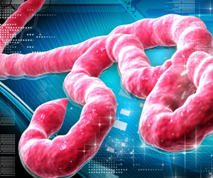 OMS suspende por precaución ensayo clínico de vacuna contra el Ébola 
