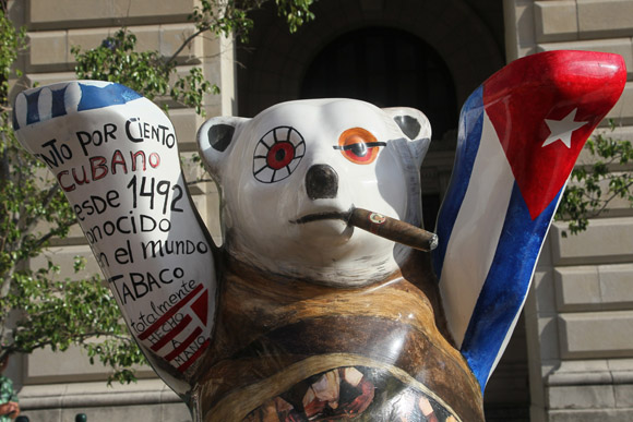 Siboney, el oso cubano. Foto: Ladyrene Pérez/ Cubadebate.