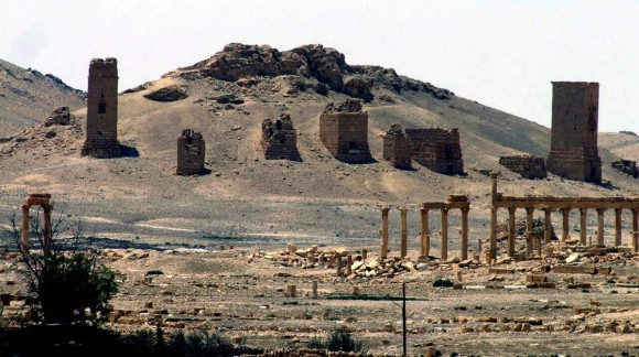 Palmira (1)