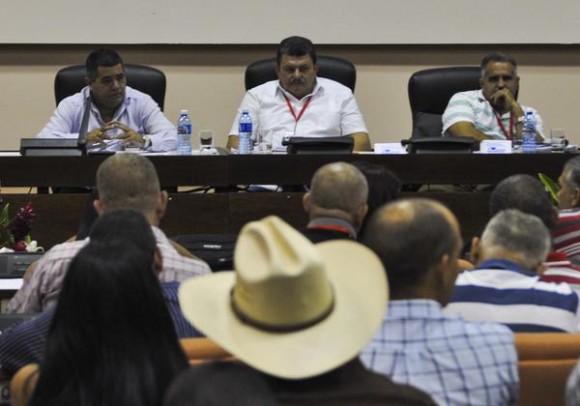 Trabajo en Comisiones, en el XI Congreso de la Asociación Nacional de Agricultores Pequeños (ANAP), en el Palacio de las Convenciones, en La Habana, el 16 de mayo de 2015. AIN FOTO/Marcelino VAZQUEZ HERNANDEZ/rrcc