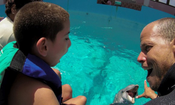 Terapia con delfines entrenados en el Acuario Nacional de Cuba. Foto: Adalberto Roque/ AFP.