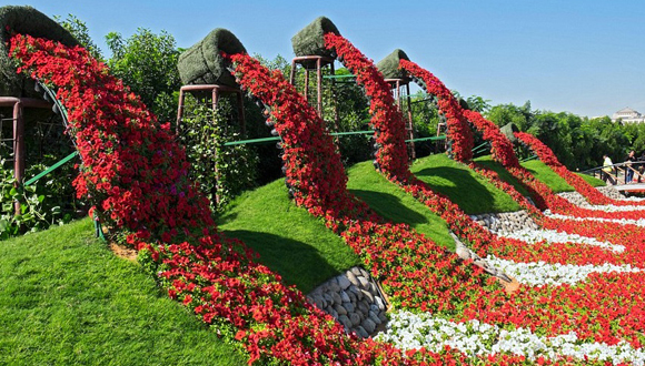 Jardín más grande del mundo en Dubai (2)