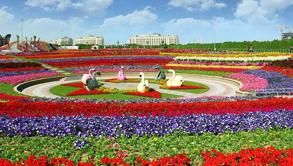 Jardín más grande del mundo en Dubai (4)
