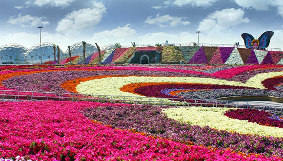 Jardín más grande del mundo en Dubai (8)
