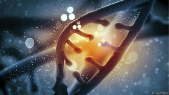 El método de edición genética se considera un hito, ya que simplifica y hace más precisa la terapia génica. Foto: Thinkstock.