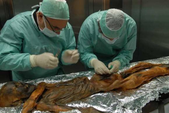 El microbioma encontrado en el sistema digestivo de Ötzi revela interesantes sorpresas sobre la evolución y las migraciones de la especie humana. Foto: EURAC/Marion Lafogler