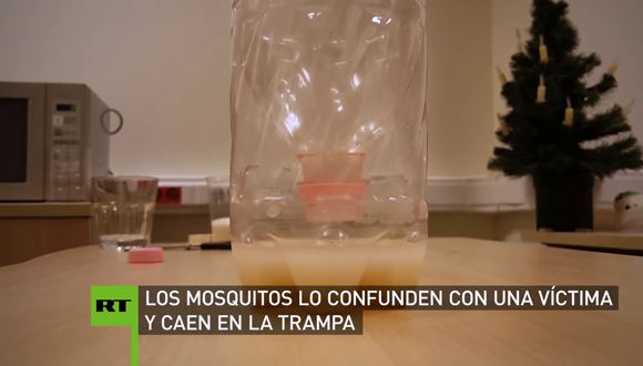 trampa casera mosquito aedes
