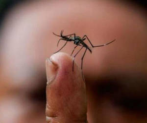 Ministerio de Salud Pública de Cuba diagnostica vigesimosegundo caso importado de Zika