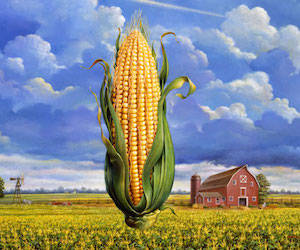corn-USA
