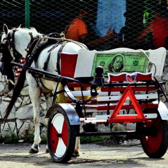 Carretón de caballos con "decorado" con un billete de cien dólares. Foto: Desmond Boylan