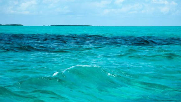 Las aguas caribeñas son conocidas por su tranquilidad, pero en el Mar Caribe se encontró un sonido peculiar. Foto: Thinkstock.