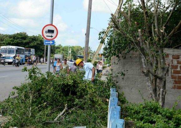 Tareas de poda de árboles, higienización y limpieza de ríos y puentes, son acciones adoptadas por el Consejo de Defensa Provincial en Camagüey, Cuba, ante la amenaza del huracán Matthew, el 2 de octubre de 2016. Foto: Rodolfo Blanco Cué / ACN