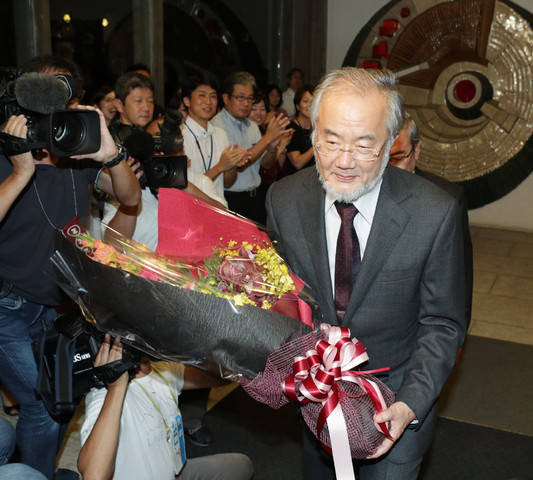 El japonés Yoshinori Ohsumi ganó el Nobel de Medicina por sus descubrimientos sobre la autofagia. Foto: AFP.