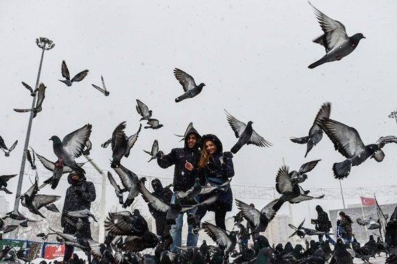 People walk next to pigeons on Taksim square during snowfalls in Istanbul on January 7, 2017.  A heavy snowstorm paralysed life in Istanbul with hundreds of flights cancelled and the Bosphorus closed to shipping traffic. The snowstorm dumped almost 40 centimetres (16 inches) of snow in parts of the Turkish metropolis overnight, causing havoc on roads as travellers sought to leave the city for the weekend getaway. / AFP PHOTO / YASIN AKGUL