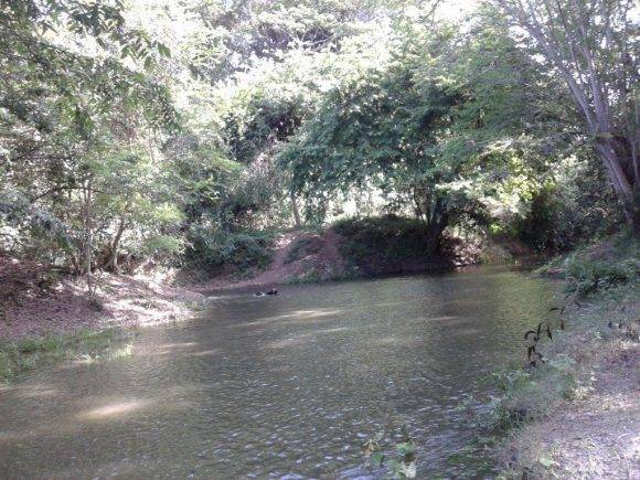 El rio Chaparra en el municipio Jesús Menéndez, Las Tunas. Foto: Yuslaidys Avila Puig / Cubadebate.
