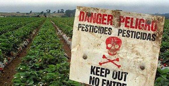 Pesticidas provocan 200 mil muertes cada año, alerta ONU.