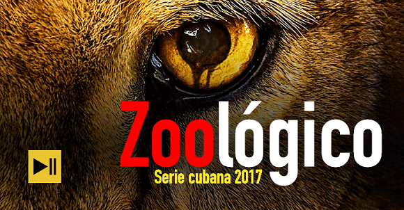 zoo-2