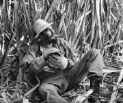 “Comandante”, exposición fotográfica dedicada a Fidel en Canadá