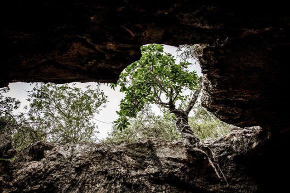 La Cueva de los Panaderos constituye uno de los principales atractivos arqueológicos del patrimonio de Gibara, ciudad costera ubicada al norte de la provincia de Holguín, Cuba, el 24 de mayo de 2017. ACN FOTO/Juan Pablo CARRERAS