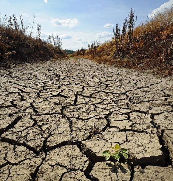 Se impone la búsqueda de alternativas para enfrentar la sequía.