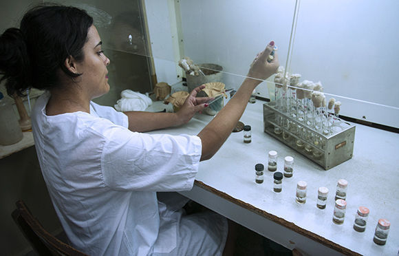 María Victoria trabaja con las muestras de agua. Foto: Irene Pérez/ Cubadebate.