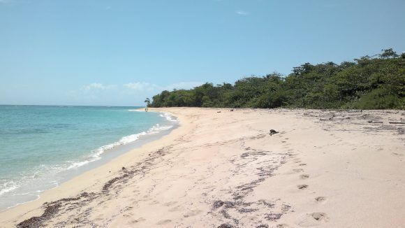 Playa Maguana, Baracoa. Foto: Isael Bozán Acosta / Cubadebate
