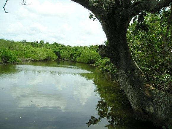 Rio Baracoa, en la desembocadura a Playa Baracoa, Bauta, Artemisa. Foto: Omar Ríos / Cubadebate