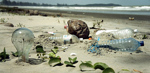 Basura plástica en las costas. Foto: Ecoosfera.