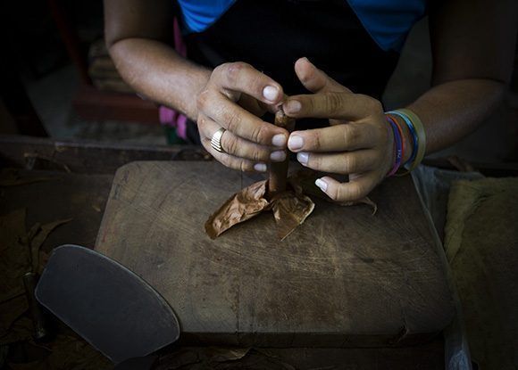 La media por trabajador de la fábrica Francisco Donatién es de 160 tabacos al día. Foto: Irene Pérez/ Cubadebate.