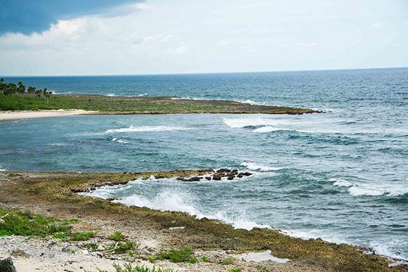 Paisaje costero del Parque Nacional Guanahacabibes, situado en el extremo más occidental del archipiélago cubano, en Sandino, Pinar del Río, Cuba. Foto: ACN/ Rafael Fernández.