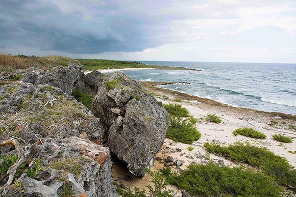 Paisaje costero del Parque Nacional Guanahacabibes, situado en el extremo más occidental del archipiélago cubano, en Sandino, Pinar del Río, Cuba. Foto: ACN/ Rafael Fernández.