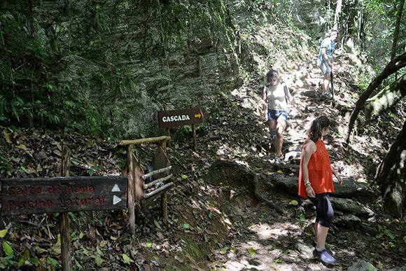 Desandando senderos de montaña se llega al Salto del Caburní, una preciosidad de la naturaleza del Gran Parque Natural Topes de Collantes, en Sancti Spíritus, Cuba. Foto: Oscar Alfonso Sosa/ ACN.