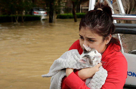 Jannett Martinez sostiene a su gato Gigi, su vecindario fue inundado, tormenta tropical Harvey el martes, 29 de agosto de 2017, en Houston, Texas. Foto: AP.