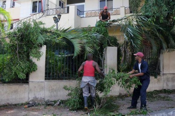 Fuerzas combinadas del Ministerio de la Agricultura y Servicios Comunales trabajan en la recuperación y limpieza de las arterias de la capital, luego del paso del huracán Irma por la costa norte de La Habana, Cuba, el 11 de septiembre de 2017.   ACN FOTO/Omara GARCÍA MEDEROS/sdl
