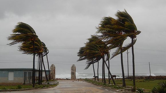 Los vientos de tormenta tropical se sintieron en Gibara. Foto: Danier Ernesto González/ Cubadebate. 