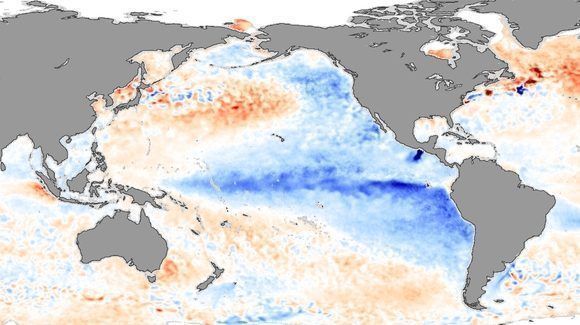 Anomalías frías (en azul) de la temperatura superficial del mar en el océano Pacífico durante la evolución de La Niña. Imagen: NASA, noviembre de 2007.