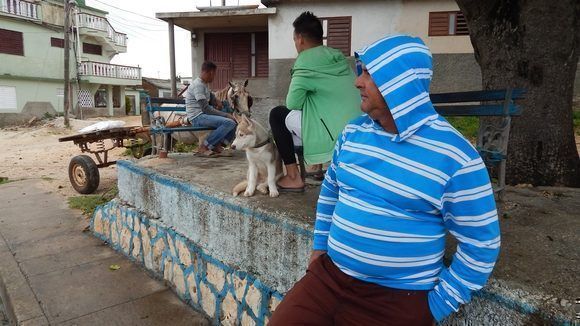 En la parte alta del pueblo se siente el rigor del viento y el frío. Gibara, Holguín, Cuba. Foto: Danier Ernesto González, 11 de diciembre.