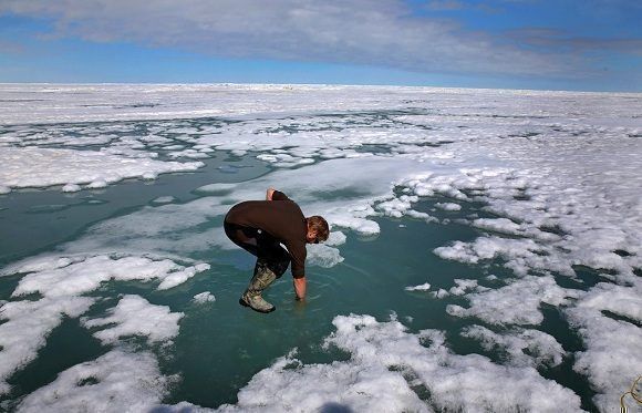  Un investigador cerca de Utqiagvik, Alaska. Dos estudios han encontrado que las altas temperaturas inusuales que impactaron el Ártico “no se habrían dado sin el cambio climático que causó el hombre”. Foto: The Boston Globe/Getty Images. 