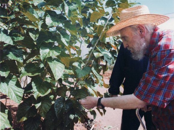 Fidel defendió el valor de la agricultura sostenible y orgánica en Cuba, octubre de 2012. Foto: Alex Castro.