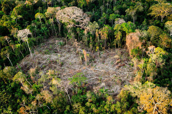 Amazonia deforestacion