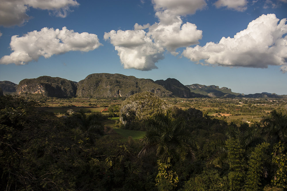 La vida continúa en el Valle de Viñales, que ahora tiene otra historia que contar en su historia geológica mayor. Foto: Deny Extremera.