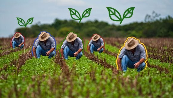 Transformaciones en el sector agropecuario: ¿Qué impactos tienen las nuevas medidas? (+ Video) - Cubadebate