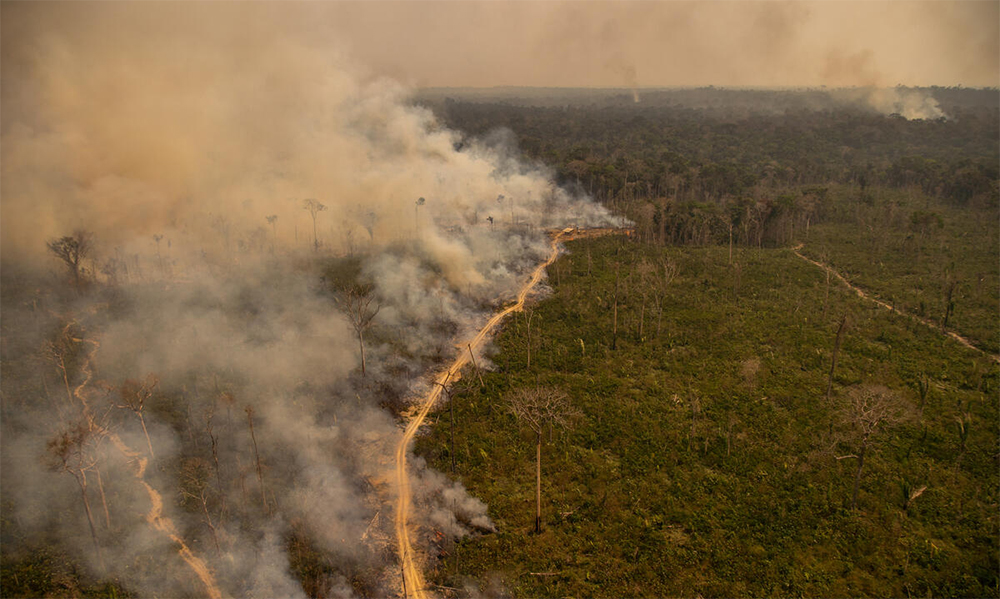 La deforestazione in Amazzonia è aumentata del 94% durante l’amministrazione Bolsonaro