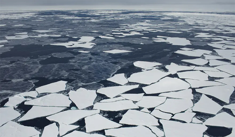 Ruptura hielo artico Greenpeace 2019