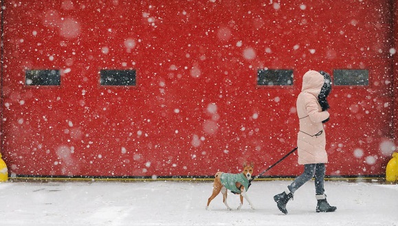 Una persona pasea a su perro durante la tormenta en Manhattan. Foto: Andrew Kelly / Reuters.